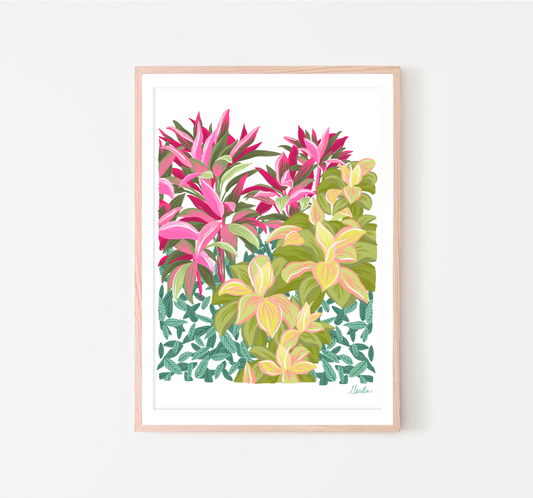Rainforest Garden image 0